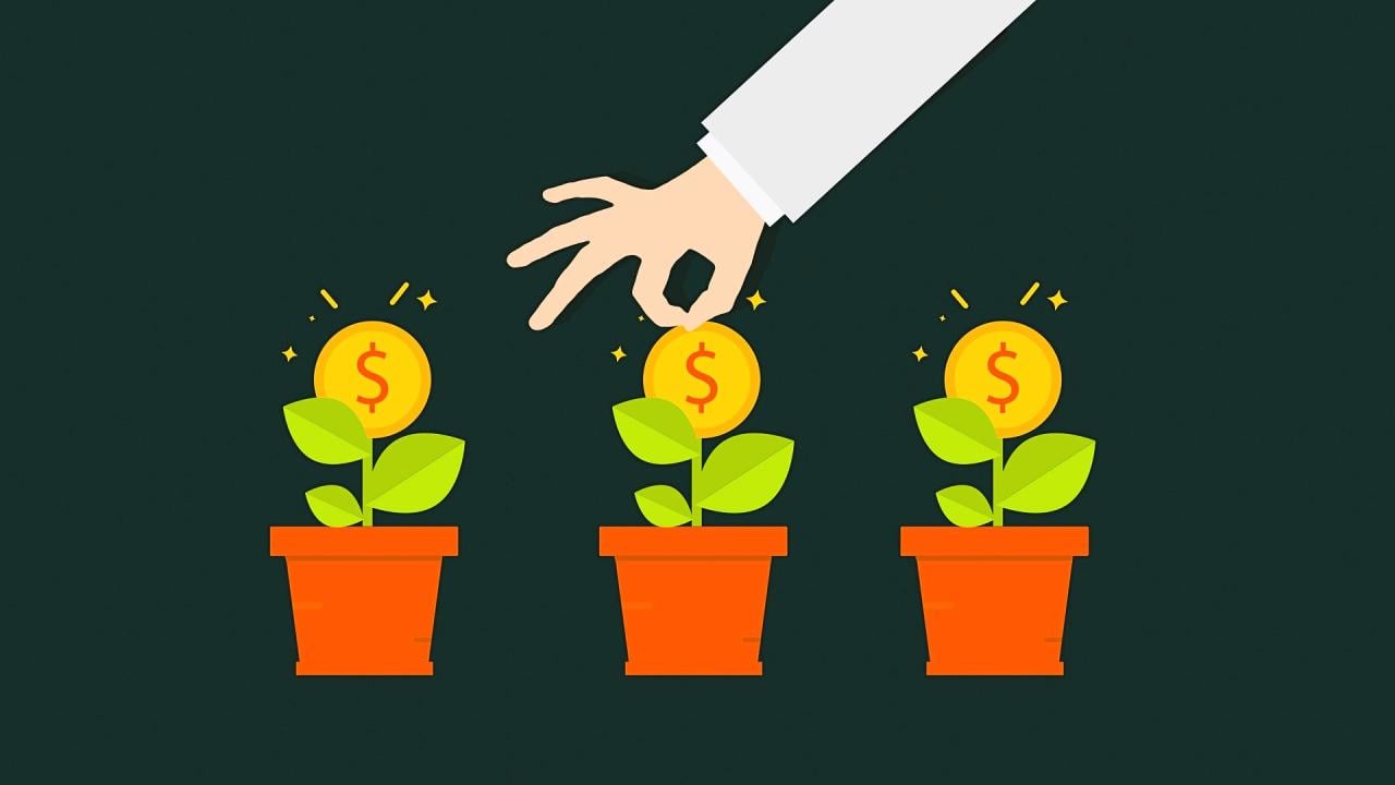 5 Revenue Growth Techniques You Must Understand