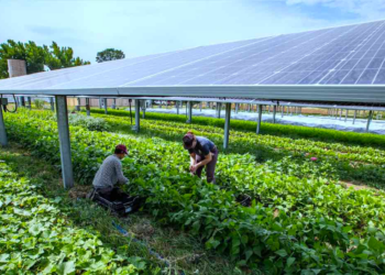 Top Growing Industries for the Next Decade