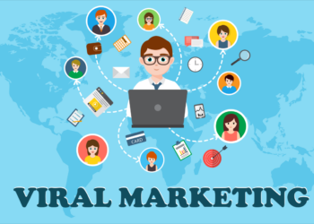 Small Brands Achieving Viral Marketing Success