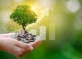 Unlocking Prosperity: The Green Economy’s Ascent
